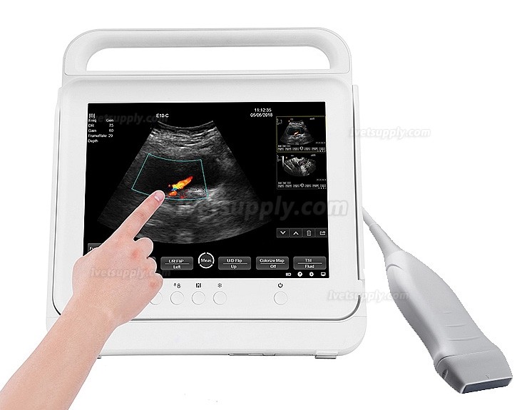 BMV HV-50C Touch Color Doppler System Veterinary Portable Ultrasound Scanner Machine For Animal